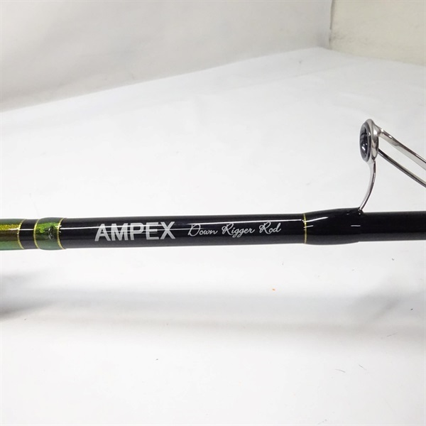 ＡＭＰＥＸダウンリガーシステムロッドライト７ＦＴ